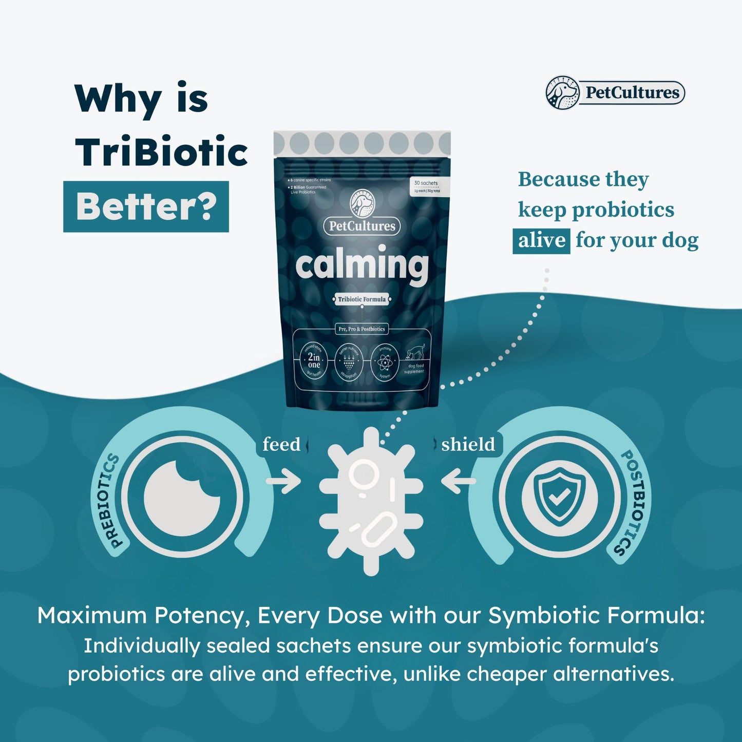 PetCultures Calming Supplement for Dogs, 30 Pks Powder, Probiotics for Dogs with 2 Bill CFU & 6 Canine Specific Strains, 100 mg L Tryptophan & L-Theanine for Dogs, Dog Anxiety Relief, Made in USA