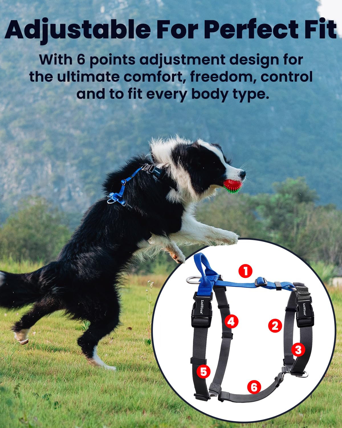 LufeLux Non-Restrictive Dog Harness, Easy Walk Freedom No Pull Harness, Keep Balance, Neck-Buckle, Six Points Adjustment, 2 Leash Clips for Back and Front Clip (Black/Grey, X-Large)