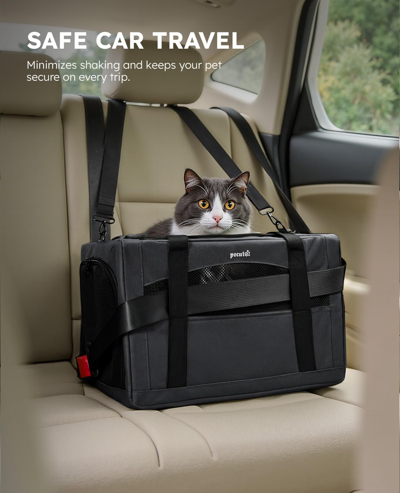 Pecute Cat Carrier Dog Carrier with Stable Structure,Breathable Mesh Fabric Pet Carrier for for Small Cats Dogs Puppies up to 7KG,Soft-Sided Dog Carrier Suitable for Both Long and Short Trips,Black,XL
