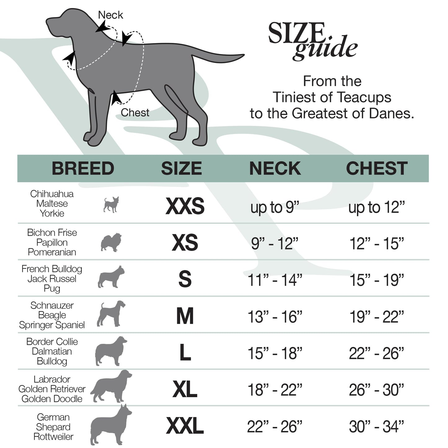 Pet Passion 8-Pack Short Sleeve Pet T-Shirt 100% Organic Cotton Tees Clothes for Small, Medium, Large Dogs | Toby II, Rainbow Blue, Small