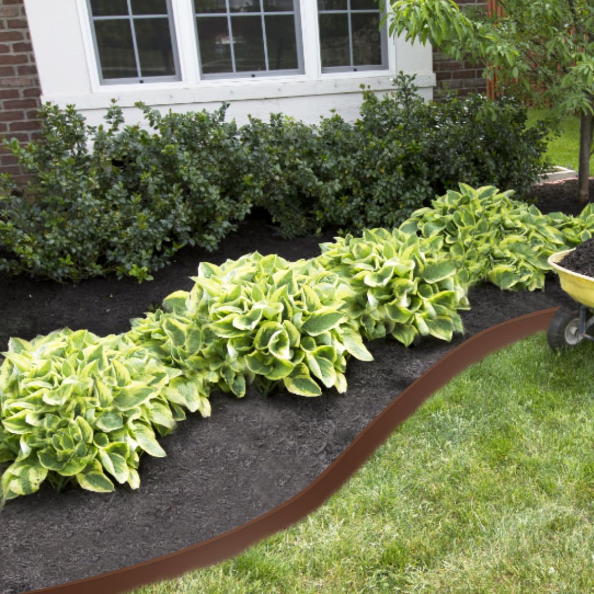 60ft Garden Edging Border,2in High Lawn Edging Borders with 54 Stakes,Flexible Landscape Edging No Dig,Plastic Landscaping Edging for Lawn,Yard,Grass,Flower Bed,Path -Brown