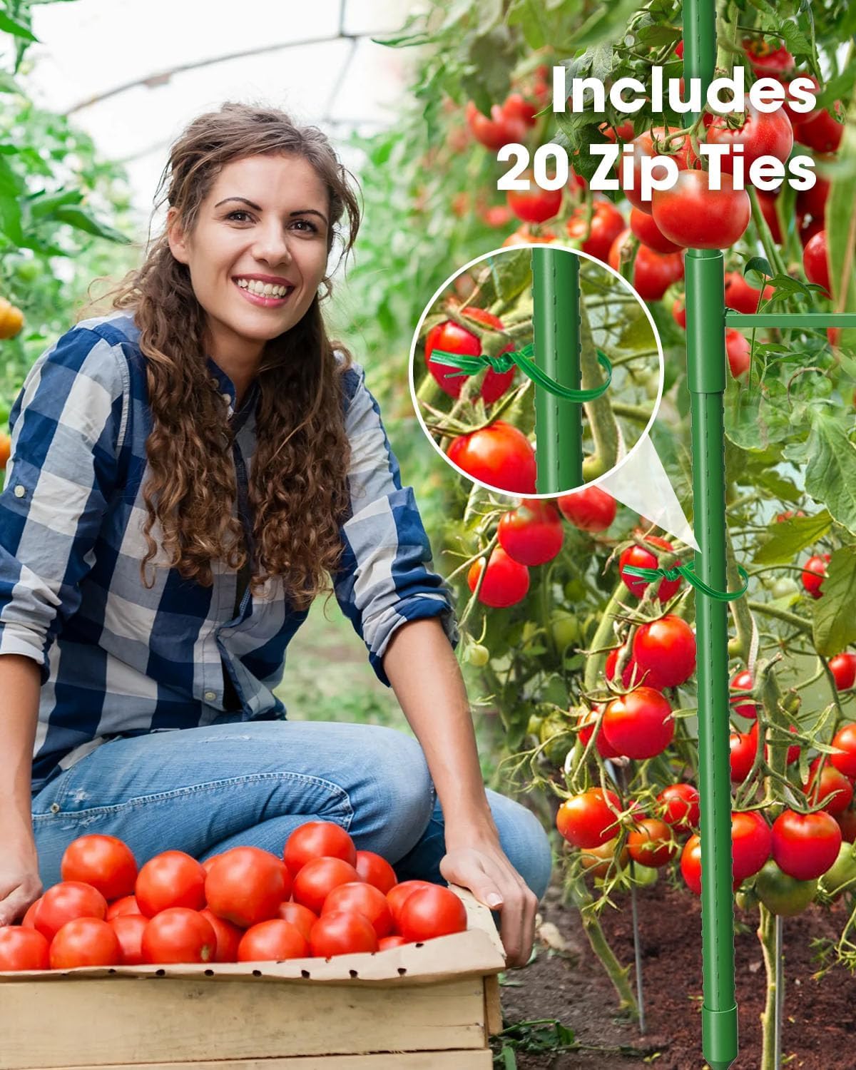 MYMULIKE 6 Pack 63 Inch Tomato Cage for Garden, Tomato Trellis for Raised Garden Bed/Pots,Tomato Plant Supports Stakes, Plant Trellis for Vegetables & Climbing Plants Outdoor (Pot Not Included)