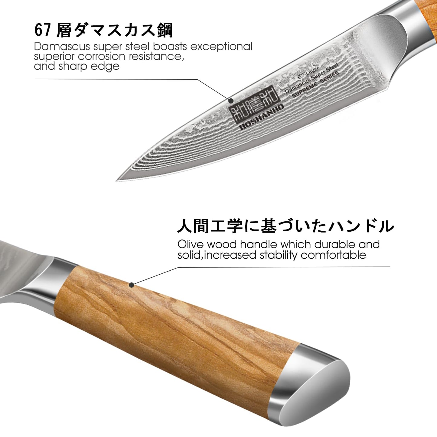HOSHANHO Paring Knife 3.75 Inch, Professional 67 Layers Damascus Super Steel Small Fruit Knife Hand Forged Japanese Paring Knife