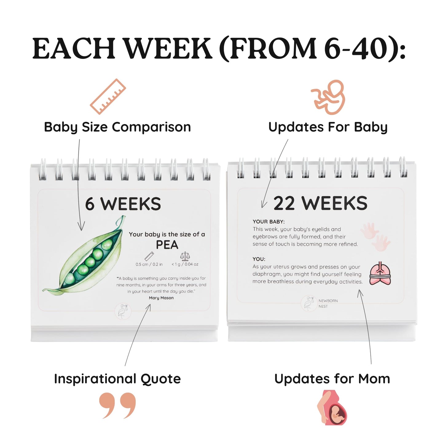 Pregnancy Calendar for Expecting Parents - Weekly Baby Growth Tracker with Fruit & Vegetables, Quotes & Development Facts | 72-Page Flip Calendar | Pregnancy Gifts for First Time Parents