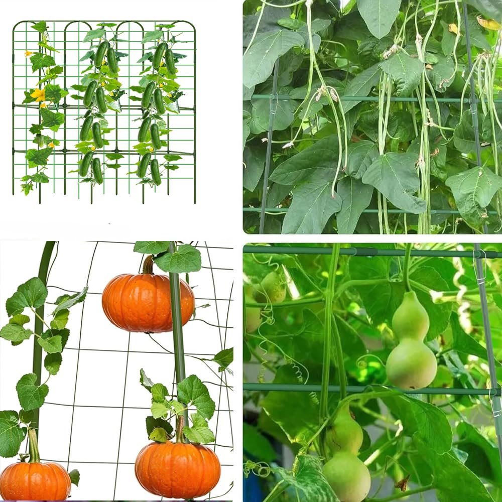 160 * 120cm Garden Trellis Cucumber Plant Trellis for Raised Bed with Netting Gloves Garden Tools for Vegetables for Plant Support Peas Fruit Flower Grape(Green)