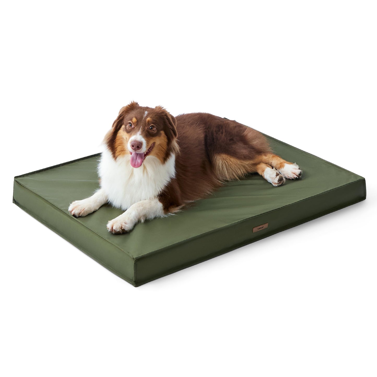 Lesure Outdoor Dog Bed for Medium Sized Dogs, Orthopedic Waterproof Egg Crate Foam Pet Bed with Oxford Fabric Surface and Removable Machine Washable Cover, 76 x 51 CM, Green