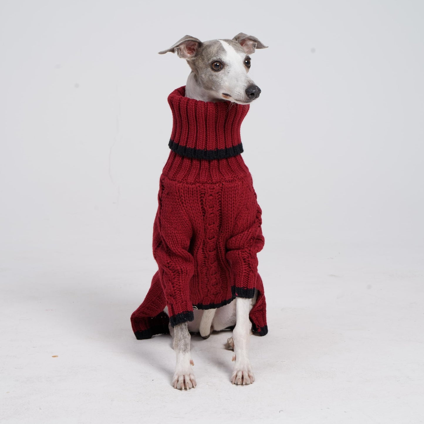ESCCBOO Italian Greyhound Clothes, Warm Sweater for Whippets, Dog Onesie, Two-Legged Turtleneck Warm Sweater for Small Medium Dogs (Medium, Red)