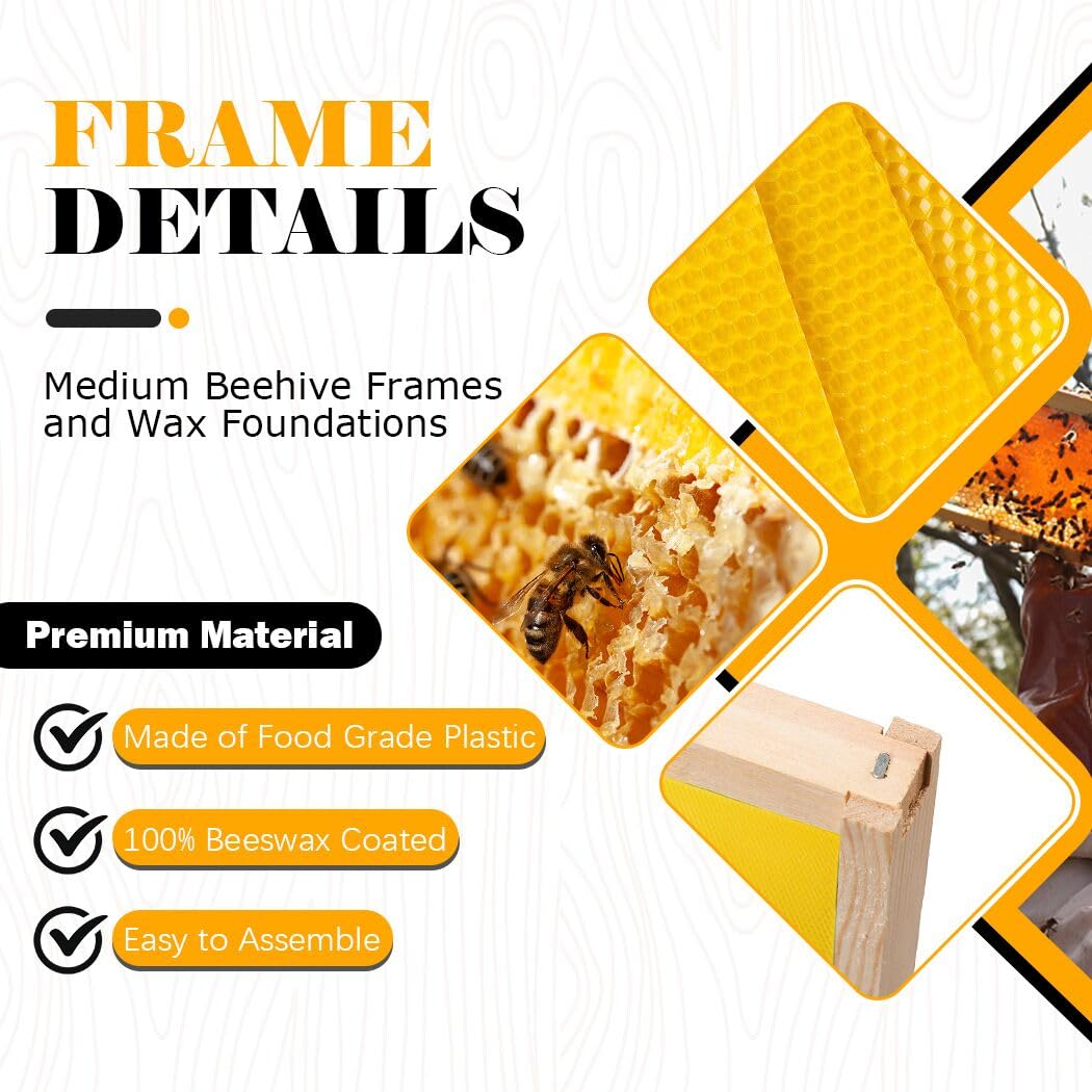 BeeCastle Medium Beehive Frames and Wax Foundations,10 Pack Honey Bee Frames with Wooden Bee Hive Frames and Beeswax Coated Foundations, 6-1/4-Inch (Yellow)