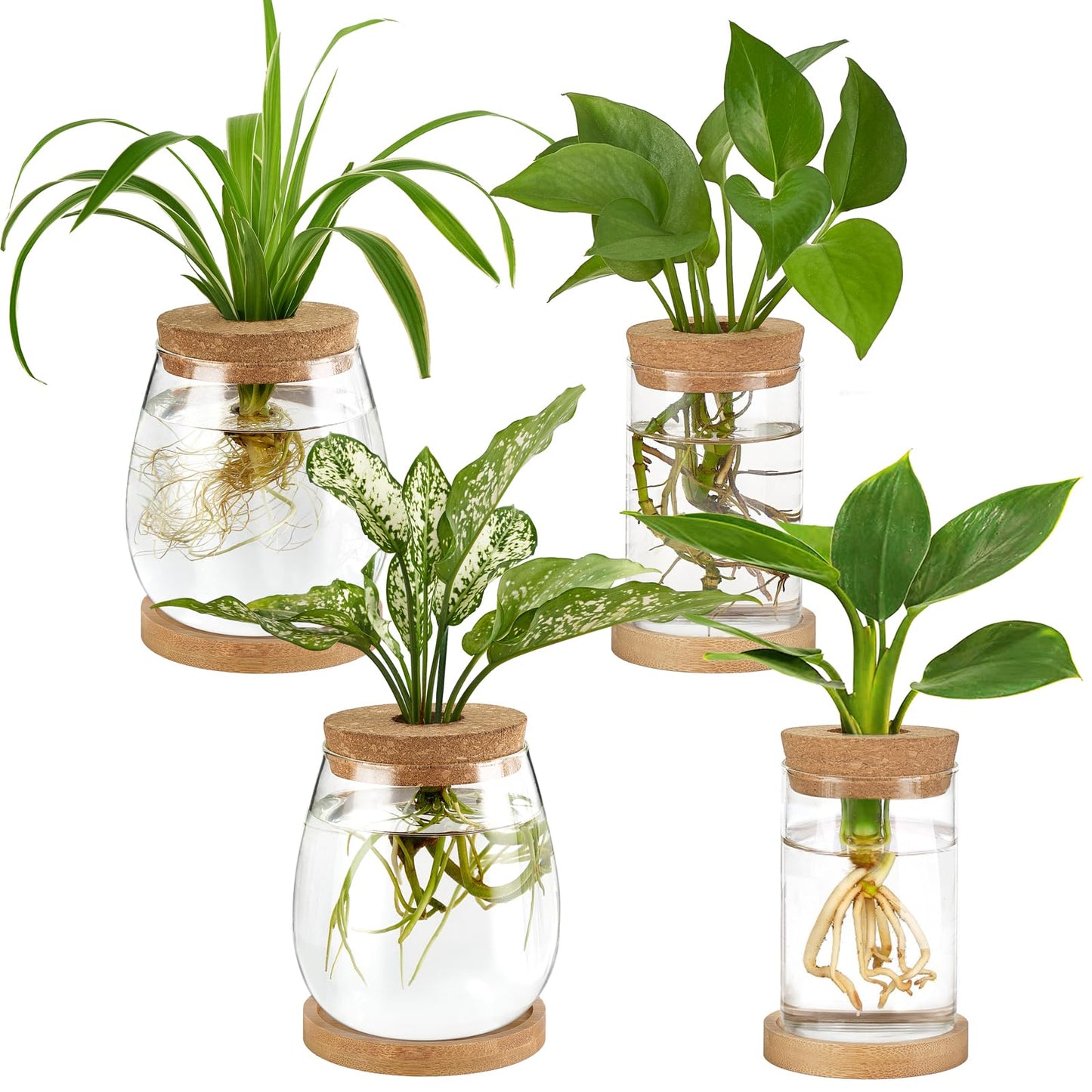 Dahey 4 Pcs Plants Propagation Stations Desktop Propagated Plant Jars Terrarium Glass Planters with Wooden Base and Lid Hydroponic Vase for Indoor Plants Tabletop Home Office Decor