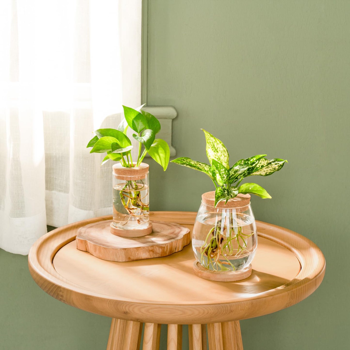 Dahey 4 Pcs Plants Propagation Stations Desktop Propagated Plant Jars Terrarium Glass Planters with Wooden Base and Lid Hydroponic Vase for Indoor Plants Tabletop Home Office Decor