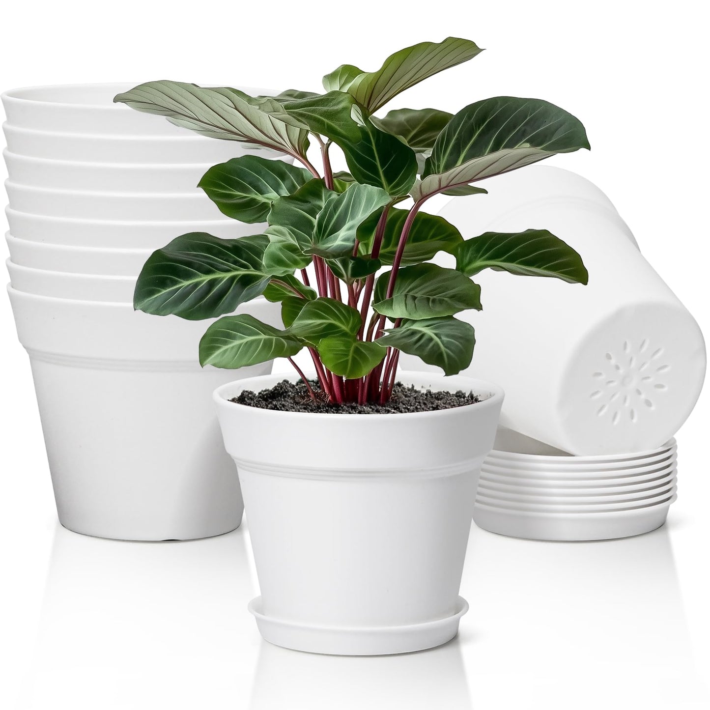T4U 6 Inch Flower Pots 10-Pack - Small Plastic Planter with Drainage Hole and Saucer, Decorative Nursery Plant Pot Bulk for African Violet, Snake Plant, Aloe and All House Plants Indoor (White)