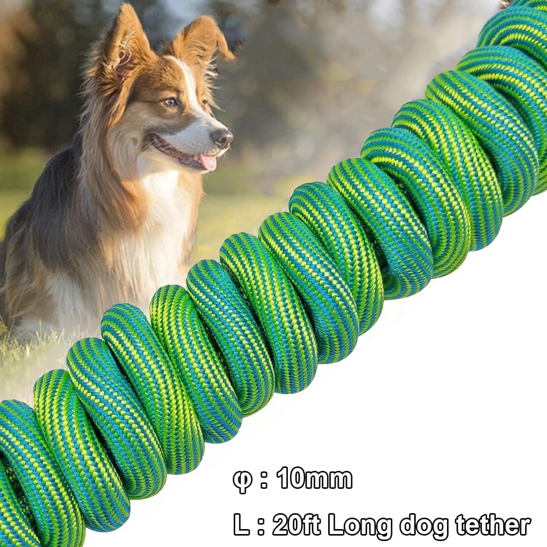 BTINESFUL 12ft/20ft/30ft/50ft Tie-Out Check Cord Long Rope Dog Leash, Recall Training Lead Leash- Great for Large Medium Small Dogs Training, Playing, Camping, or Backyard, Green-20ft