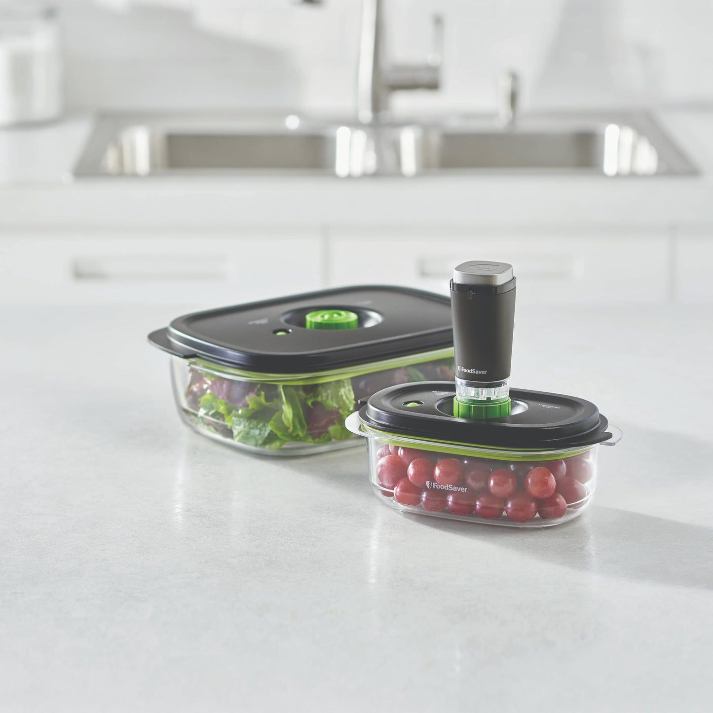 Foodsaver Marinade Containers (3cup & 10 cup)