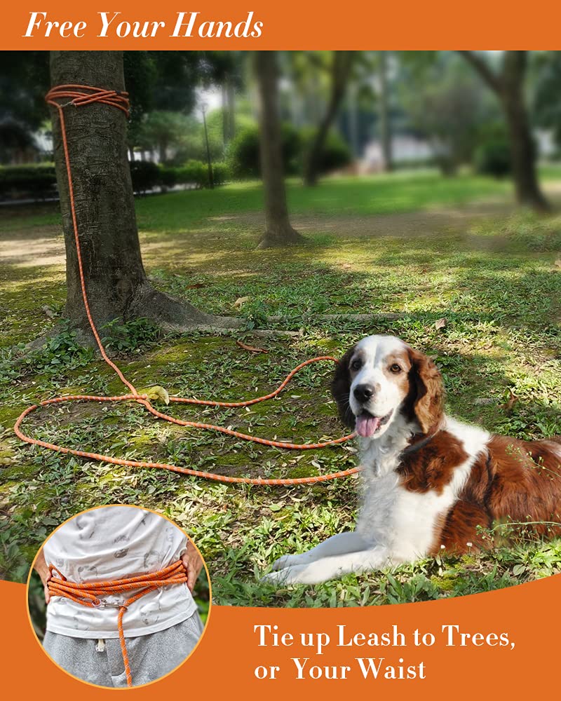 Lanwandeng Long Dog Leash for Dog Training 10FT 16FT/30FT/50FT/100FT, Reflective Threads Rope Dog Leash, Heavy Duty Dog Lead for Large Medium Small Dogs Walking Playing, Camping, or Yard Orange