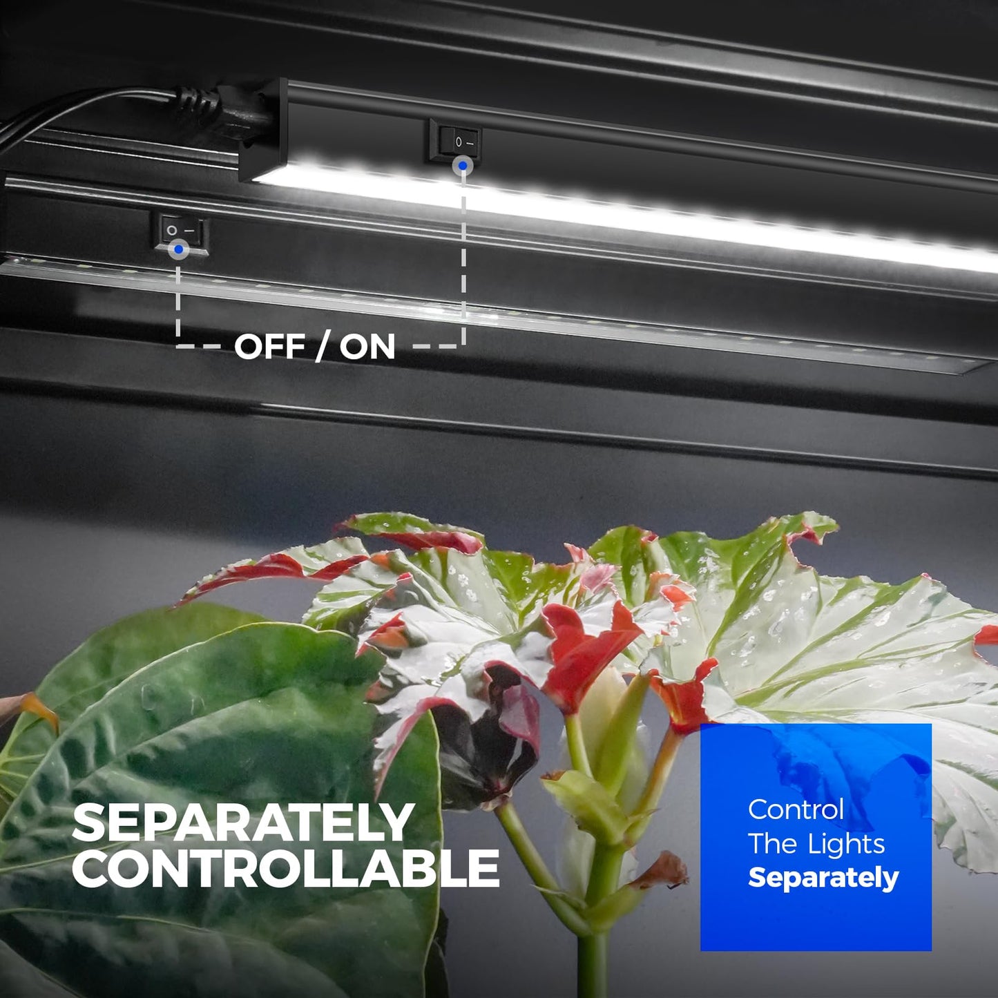 Barrina Plant Grow Lights, 5000K Full Spectrum Daylight White, T5 LED Grow Light Strips, 1ft Growing Lamp with Magnetic Bar, Plant Lights for Indoor Plants,Black Cover, Linkable, 8 Packs