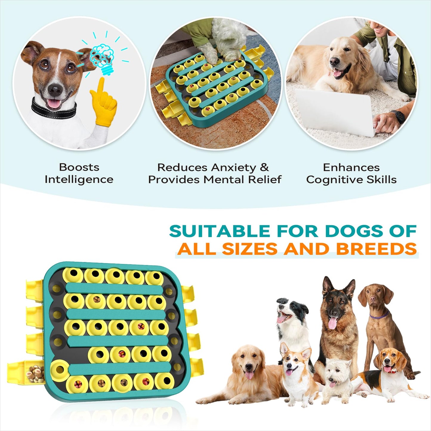 KADTC 4 Levels of Step-by-Step Challenge - U.S. Brand & Design - Extra-Large Size Beginner to Advanced Dog Puzzle Toy for Small/Medium/Large Smart Dogs Hard Puzzles Difficult Mental Stimulation Toys