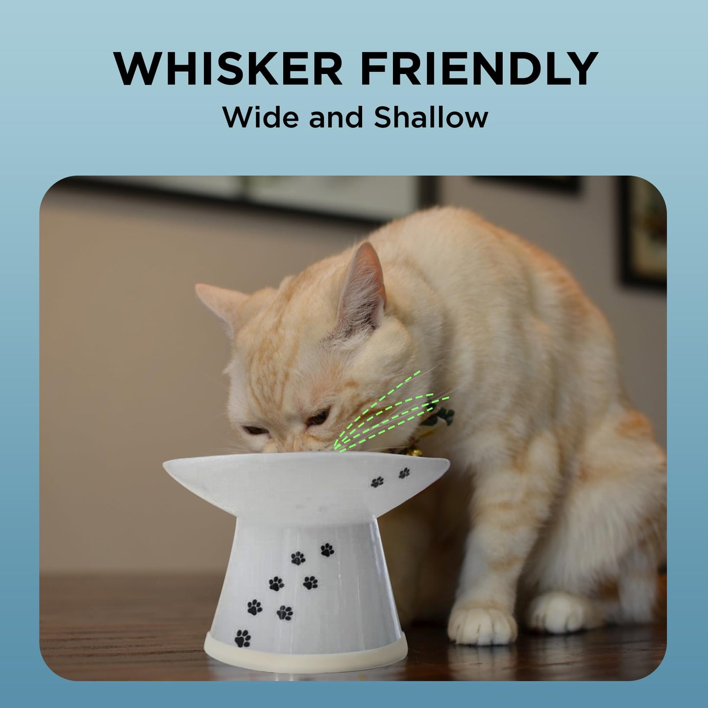 Necoichi Extra Wide Raised Cat Food Bowl, Elevated, Prevent Neck & Whisker Fatigue, Dishwasher and Microwave Safe, No.1 Seller in Japan! (Cat, Extra Wide)