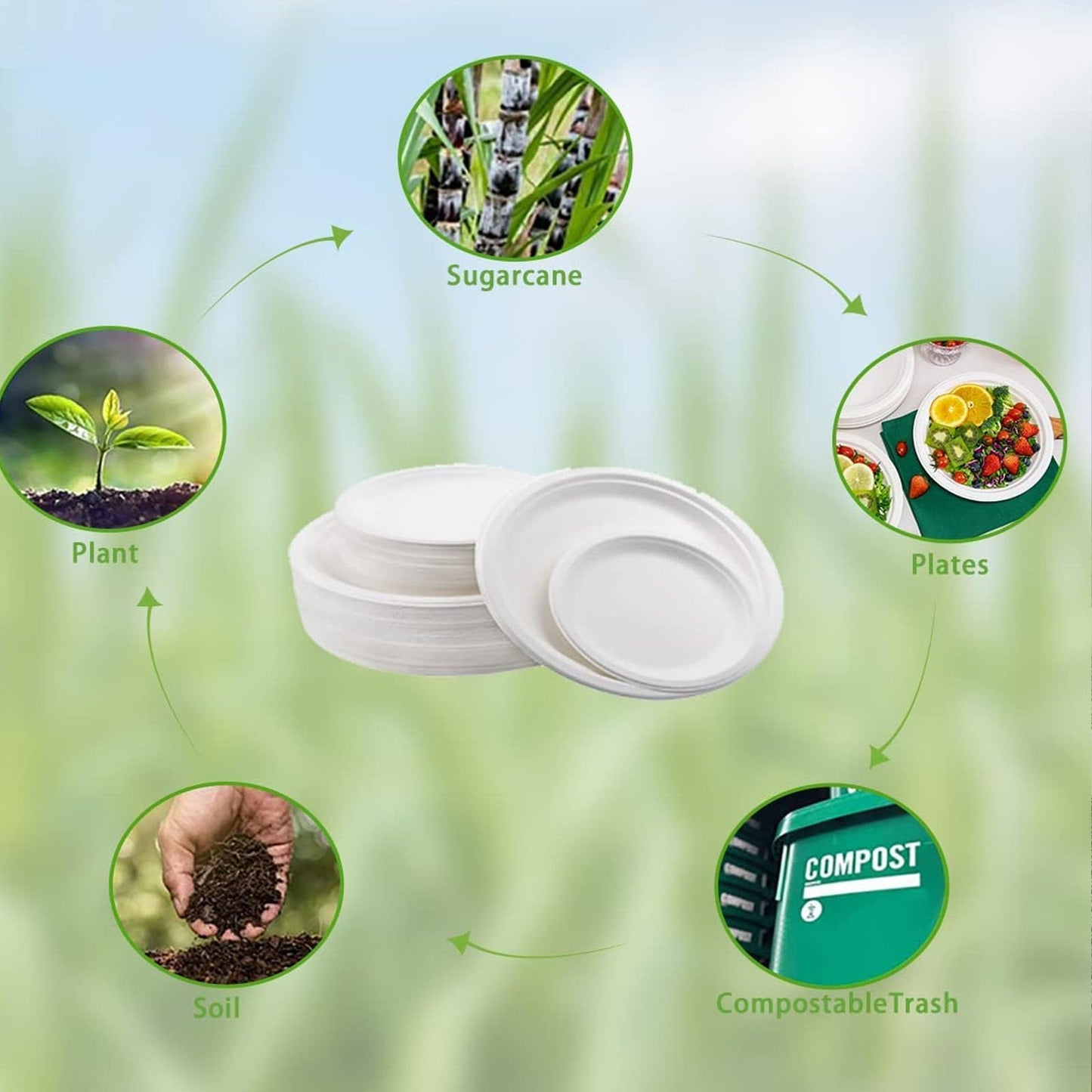 150 Pack Paper Plates, 9 Inch Disposable Plates Compostable Heavy Duty Plates Eco Friendly White Bagasse Plate Fibers Biodegradable for Events Crafts Projects Dry Foods General Use