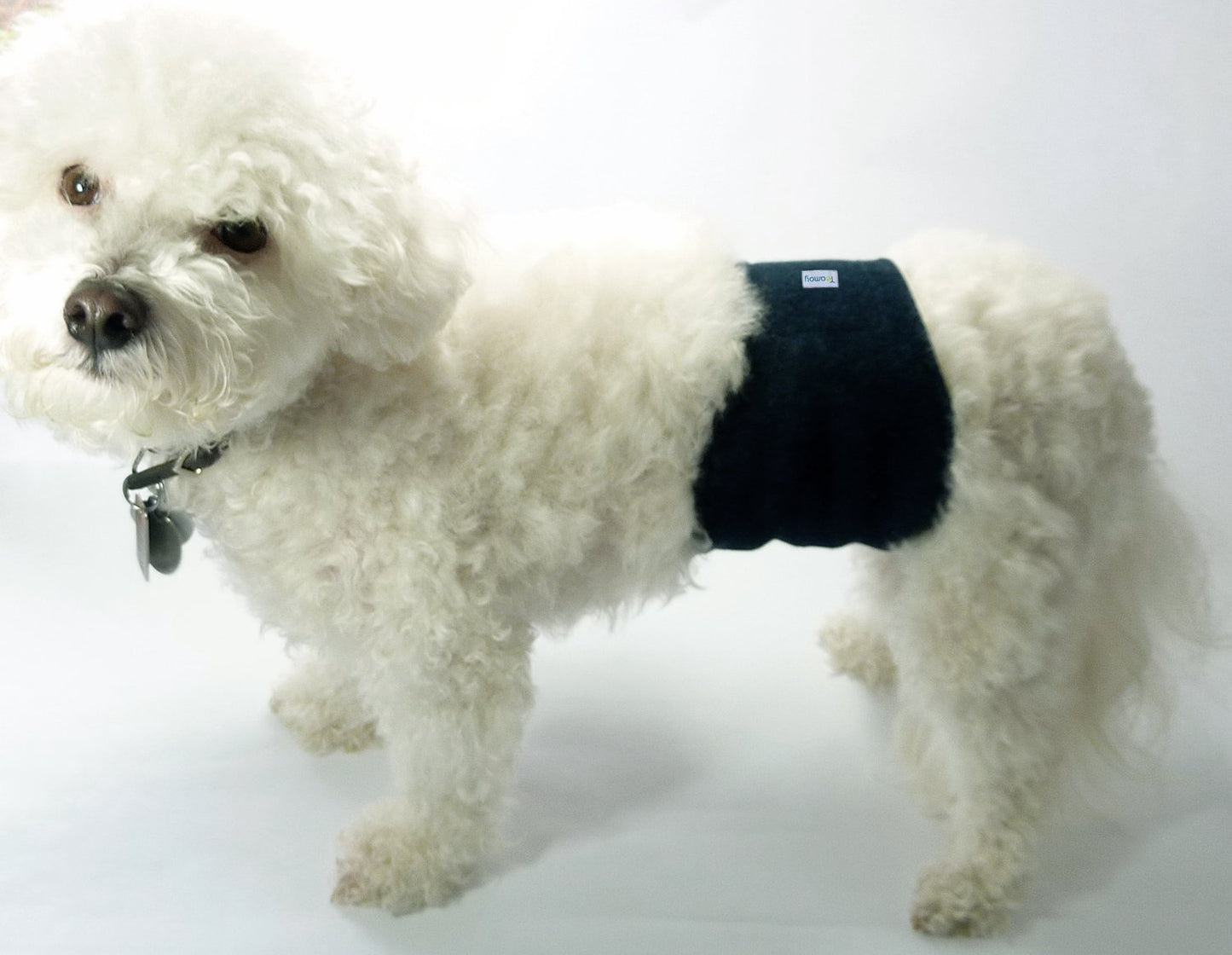 Teamoy 4pcs Reusable Wrap Diapers for Male Dogs, Washable Puppy Belly Band (XL, Black+ Gray+ Green+ Purple)