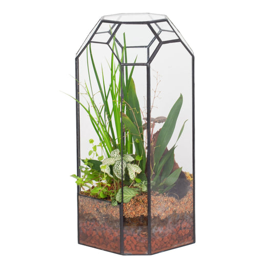 NCYP Opening Glass Geometric Terrarium for Plant, Succulent, Cacti - 5.5" x 5.5" x 12.8" Tall Octagon Glass Planter, Indoor Garden, Home, Office Vintage Decoration (Terrarium Only)