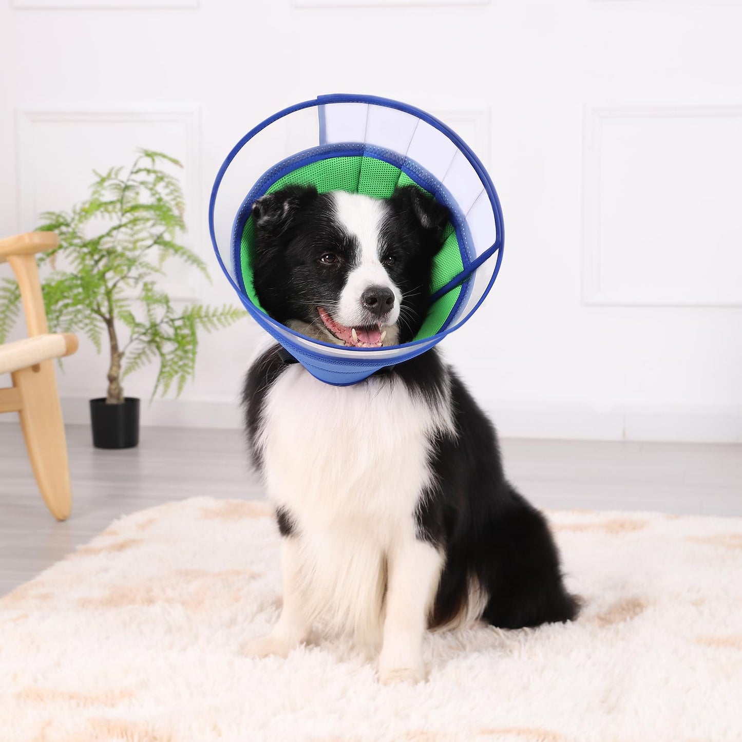 Soft Dog Cone for Dogs After Surgery, Breathable Dog Cones for Large Medium Small Dogs and Cats, Adjustable Dog Recovery Collar for Pets, Lightweight E-Collars for Dogs, Elizabethan Collar(Size 8)