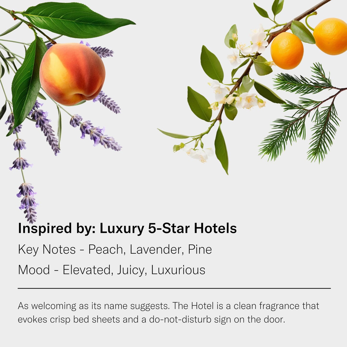 AromaTech The Hotel Premium Aroma Oil – Elevated & Luxurious Home Fragrance with Notes of Lavender, Citrus & Juicy Peach for Scent Diffusers, Cold-Air and UltraSonic Scent Machines – 10 mL