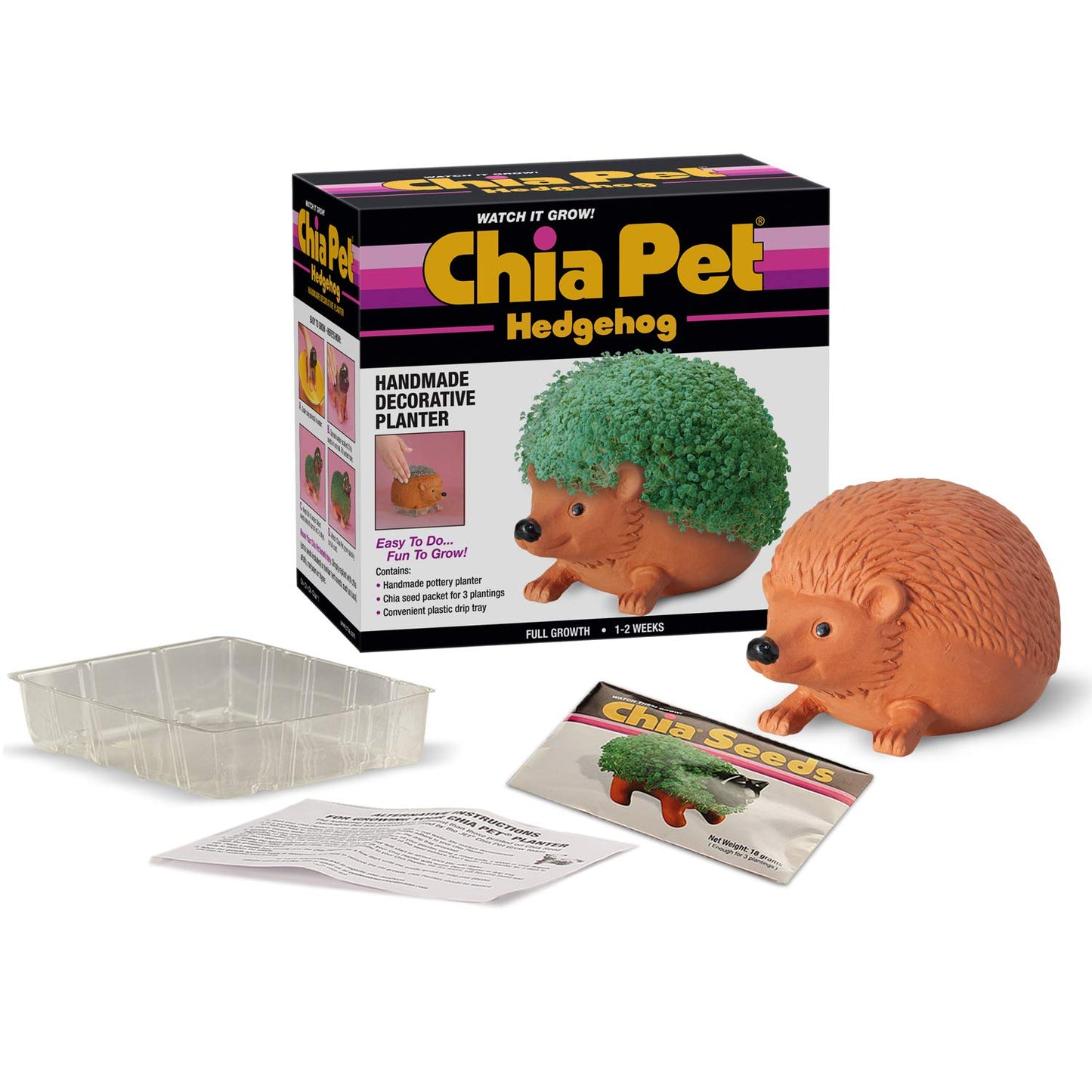 Chia CP438-01 Pet Hedgehog Decorative Pottery Planter, Easy to Do and Fun to Grow
