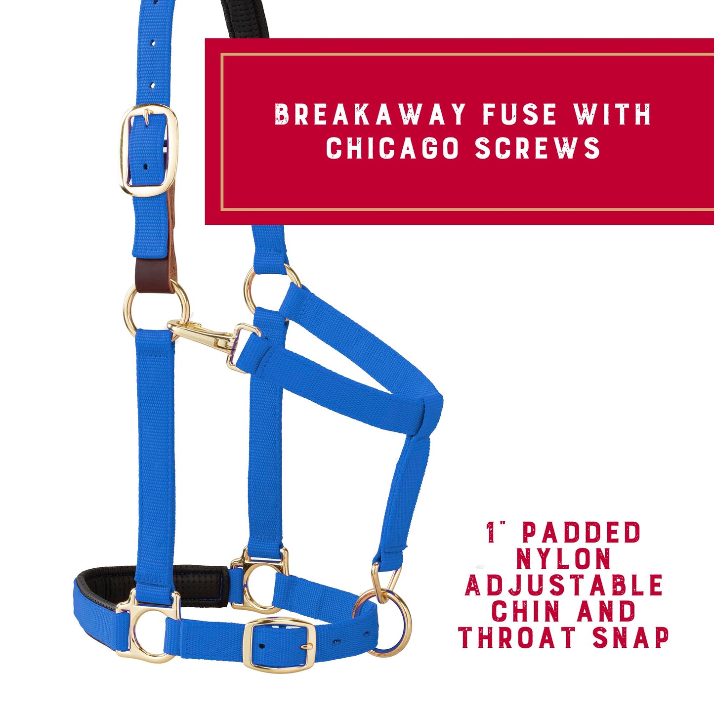Weaver Equine Breakaway Horse Halter, Comfort Foam Padding, Adjustable Chin & Throat Snap Halters for Horses, Equine Tack,Average Size, Blue