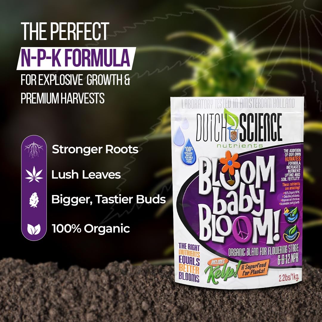 Dutch Science Nutrients Organic Fertilizer – Bloom Baby Bloom Large 1 Kg Size - Booster Fertilizer & Nutrition with 6-8-12 NPK | Organic Bud Booster for Strong Flower Growth | Outdoor & Indoor