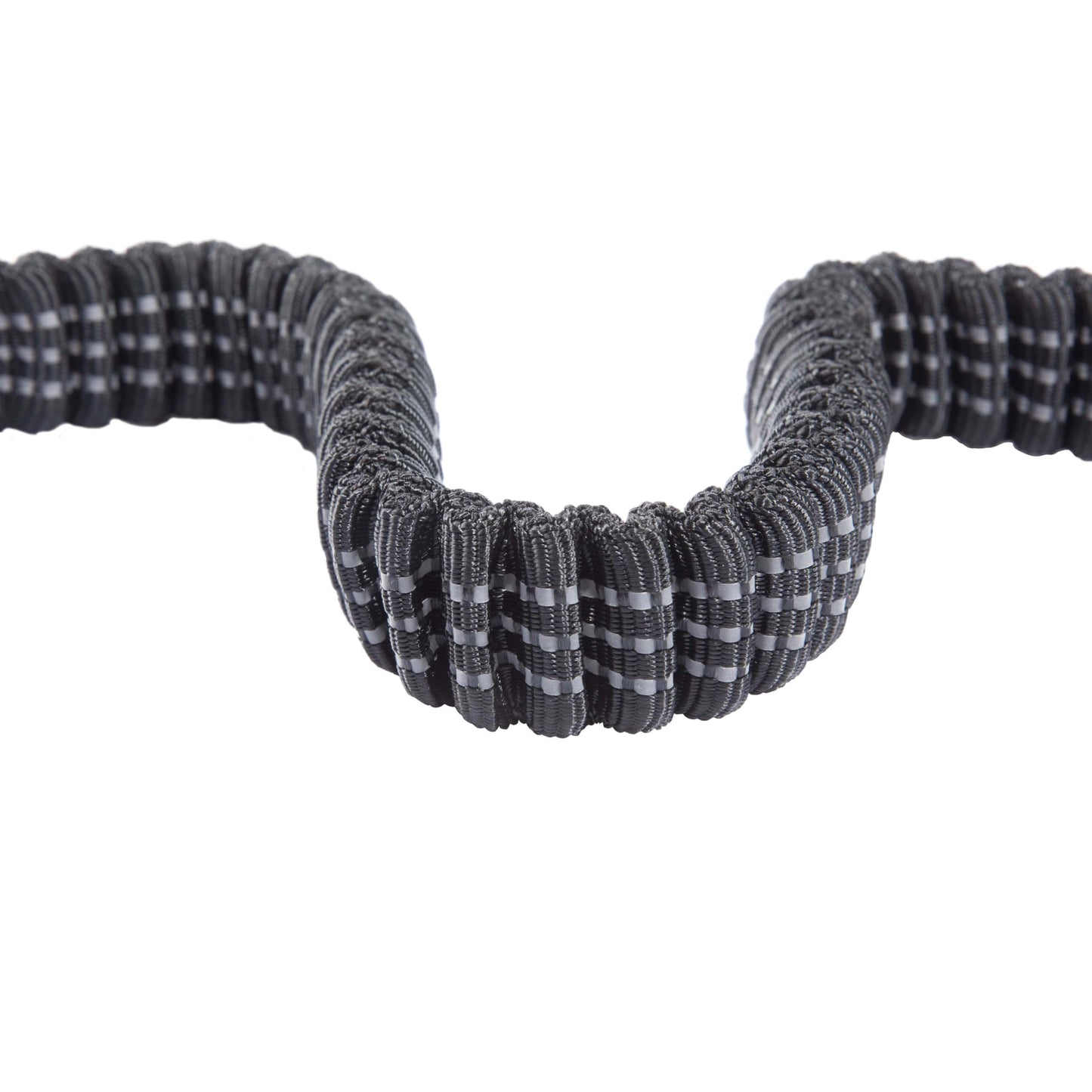 Carhartt Pet Durable Nylon Webbing Shock Absorbing Leash for Dogs, Reflective Stitching for Visibility, Black, Large