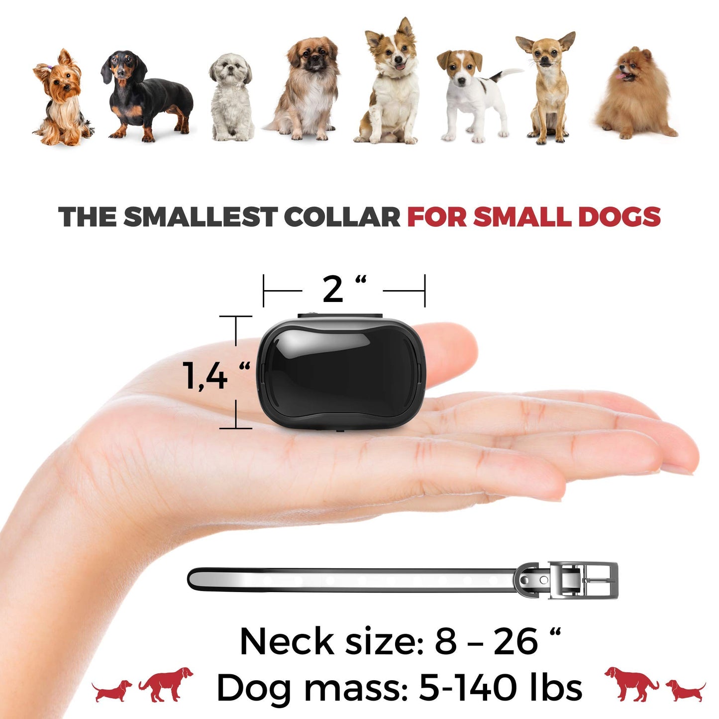 Extra Small Size Dog Training Collar with Remote - Perfect for Small Dogs 5-15lbs and Puppies - Waterproof & 1000 Ft Range