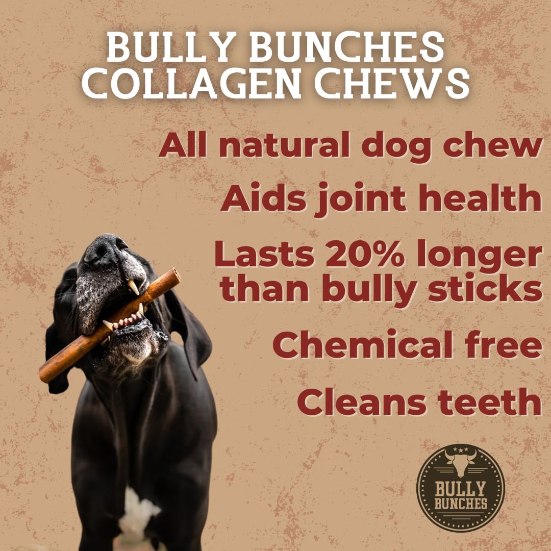 Bully Bunches Premium Beef Collagen Chews for Dogs – All-Natural, Long-Lasting Dental Treats, Protein-Rich, Grain-Free, Healthy Digestive Support for Dogs (12 Inch, 10 Pack)