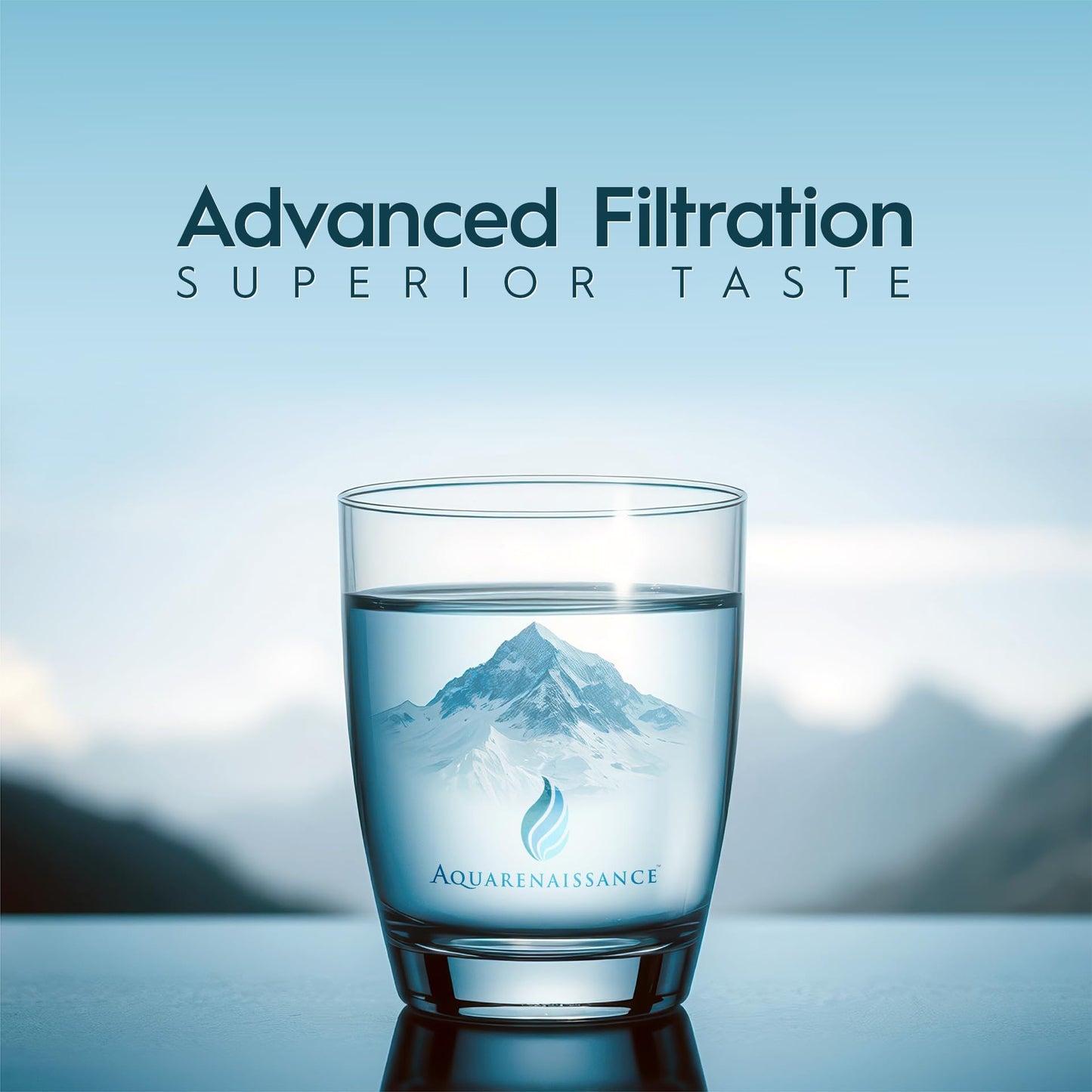 AquaRenaissance Premium 0.5 Micron Carbon Block 2.5 x 10 inch CTO Water Filter Replacement Cartridge, 95% VOC & PFAS Reduction, for Under Sink and Reverse Osmosis Water Filter Systems, NSF 42, 2 Pack