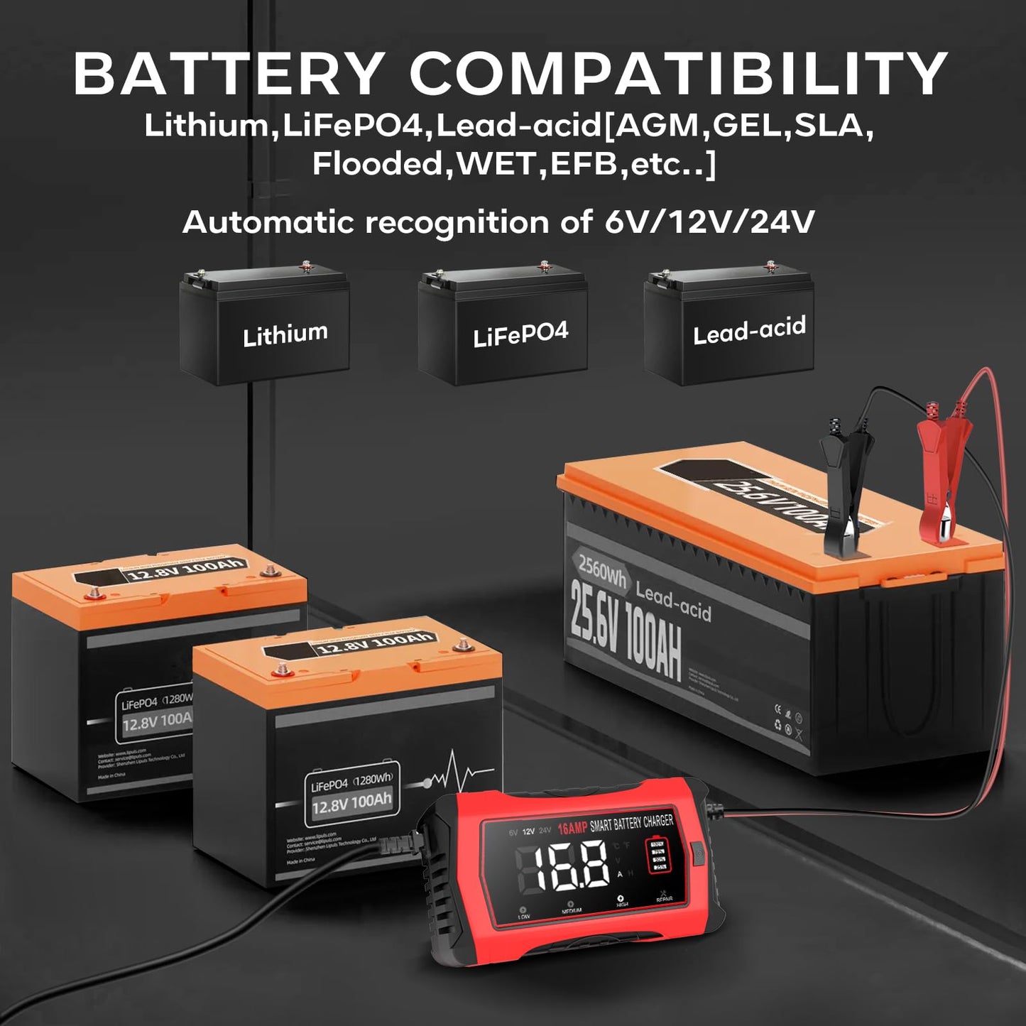 Haisito 16-Amp Smart Battery Charger (6V/12V/24V), Fully Automatic Trickle Charger Maintainer & Desulfator for Car Boat RV - Supports Lithium LiFePO4, AGM, Gel, Deep Cycle Lead-Acid Batteries