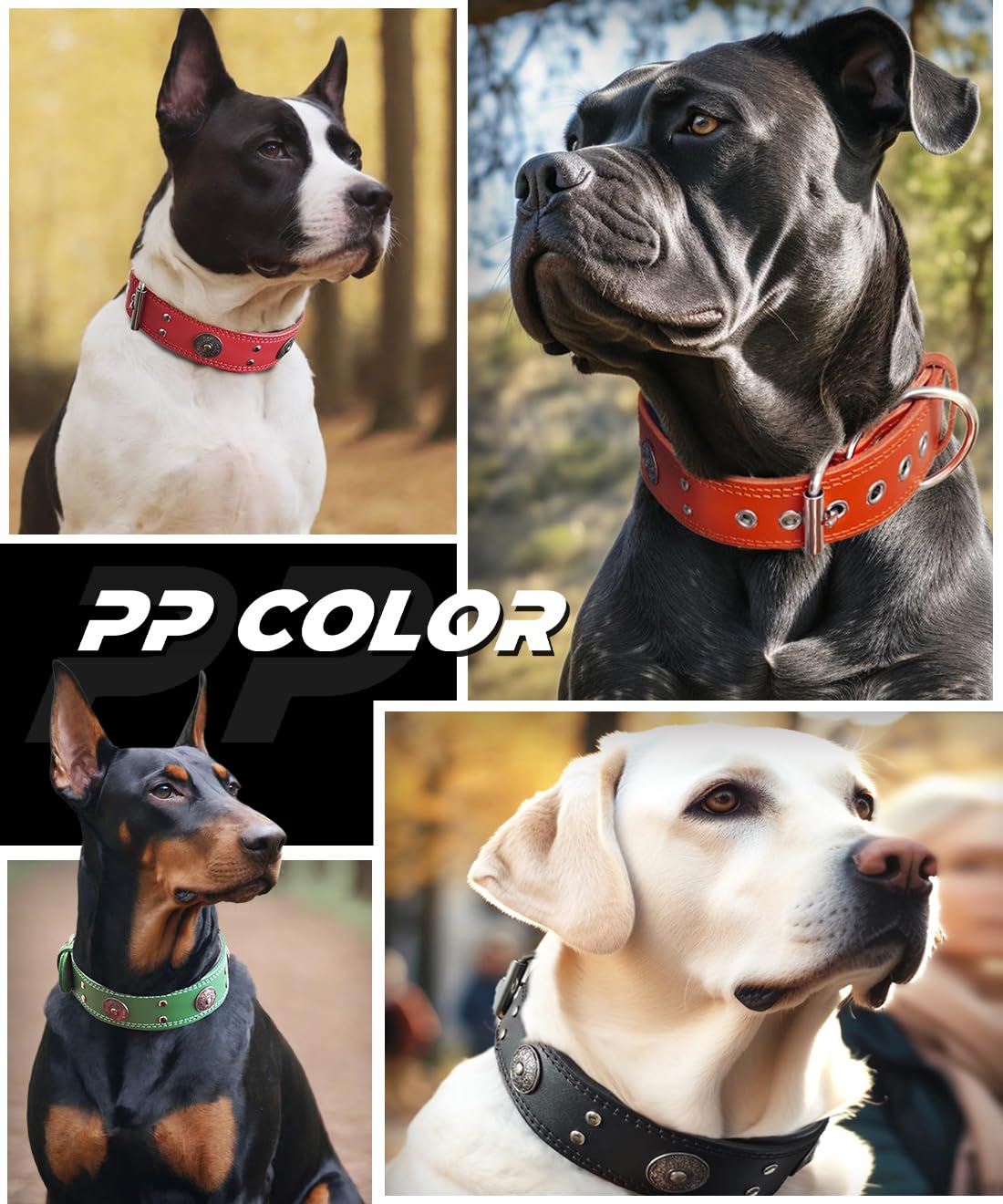 Leather Dog Collar, 2 inches Wide Heavy Duty Genuine Leather Collars, Handmade, Soft, and Luxury, Eye-catching Best Choice for Large and Medium Breed Dogs 21-25 inches