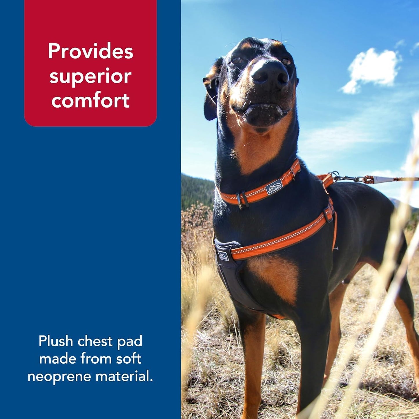 Coastal - K-9 Explorer - Reflective Adjustable Padded Dog Harness, Rosebud, 5/8" x 16"-24"