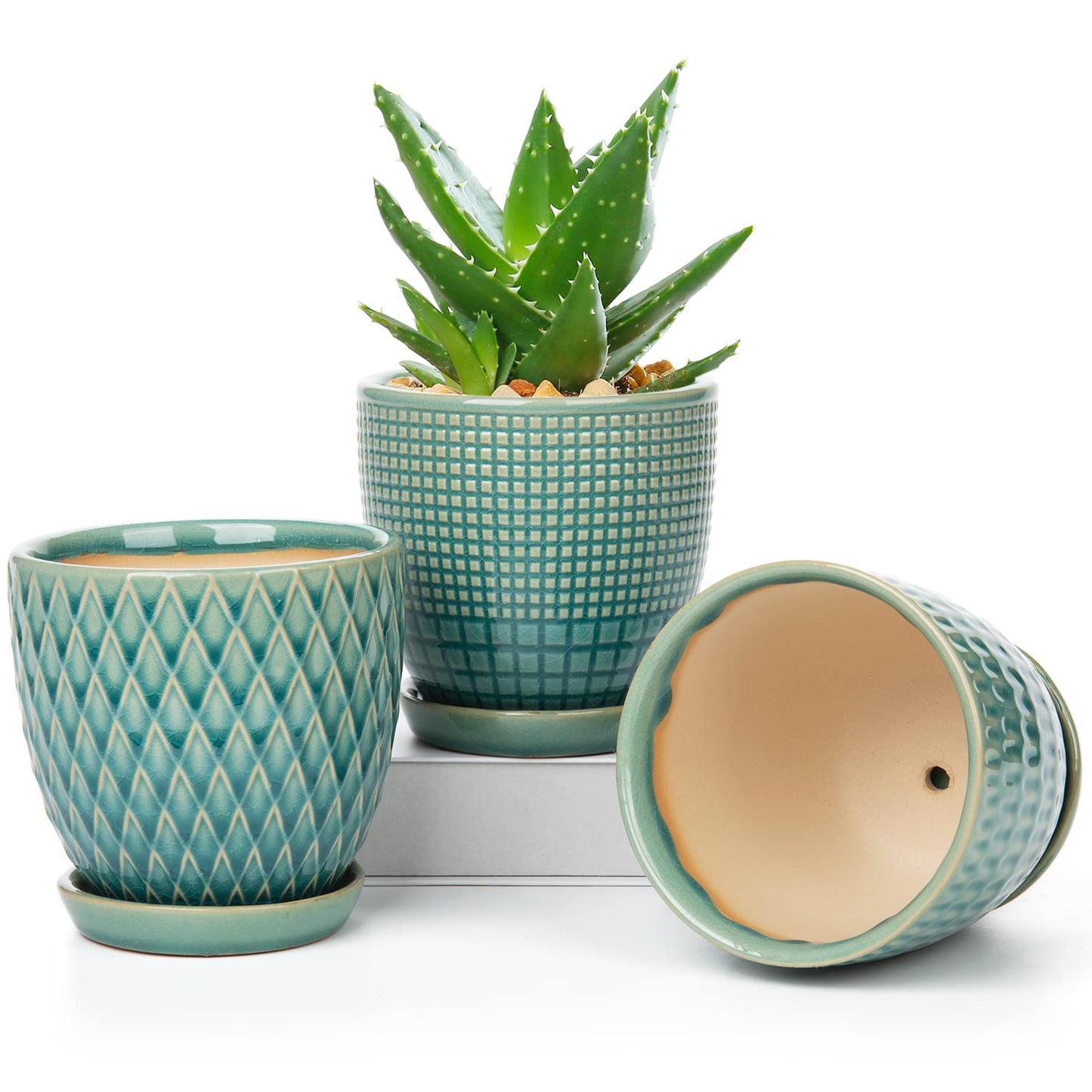 DILATATA 4 inches Ceramic Plant Pots 3 Set of Small Round Green Flower Pots with Drainage Hole and Attached Saucer for Succulents Cactus Indoor Outdoor Garden Home Windowsill
