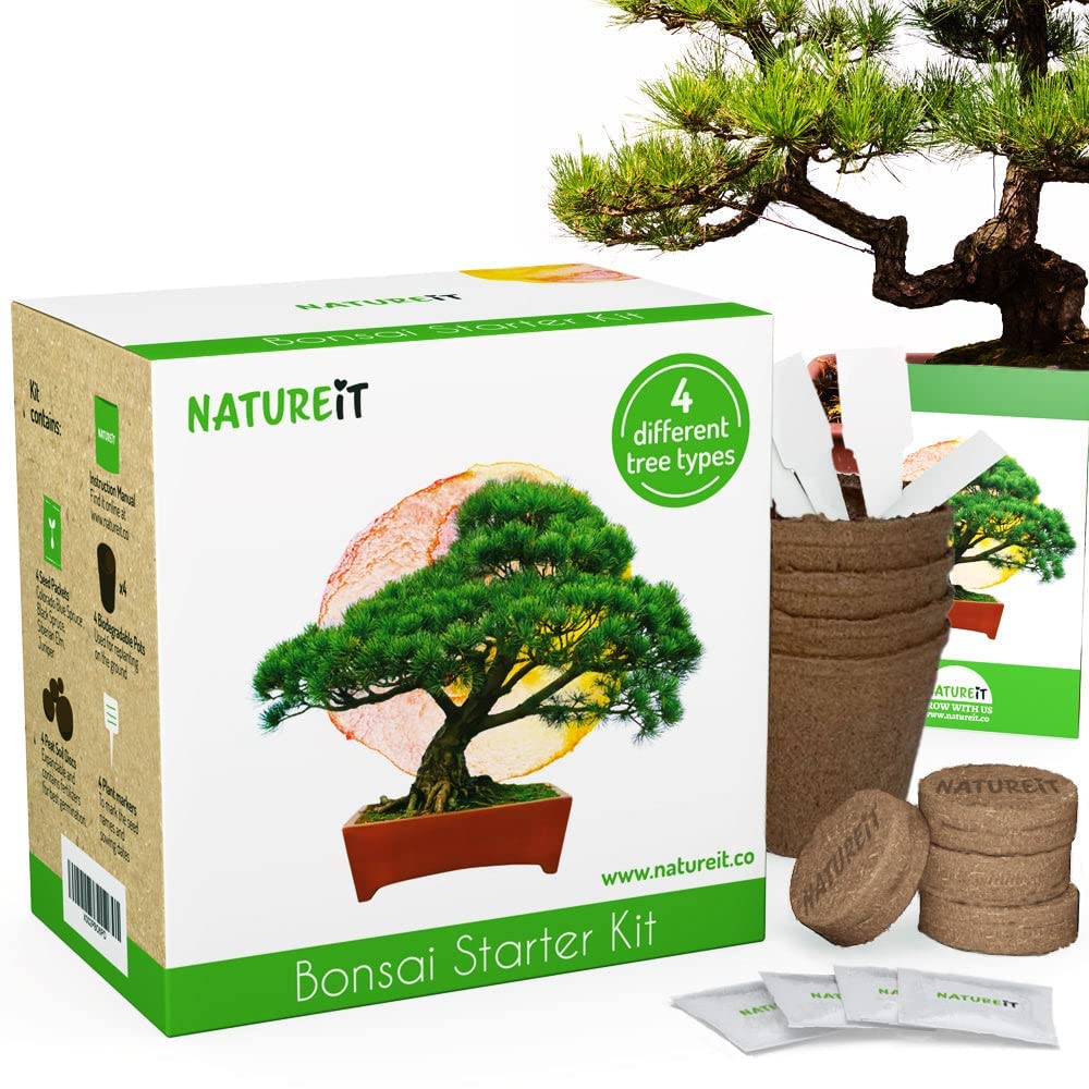 Bonsai Tree Seed Starter Kit - All You Need to Grow 4 Bonsai Trees from Seeds. All-in-One Indoor/Outdoor DIY Beginner Grow kit for Men & Women. Best Gift Idea for Mom and Dad (Starter Kit)