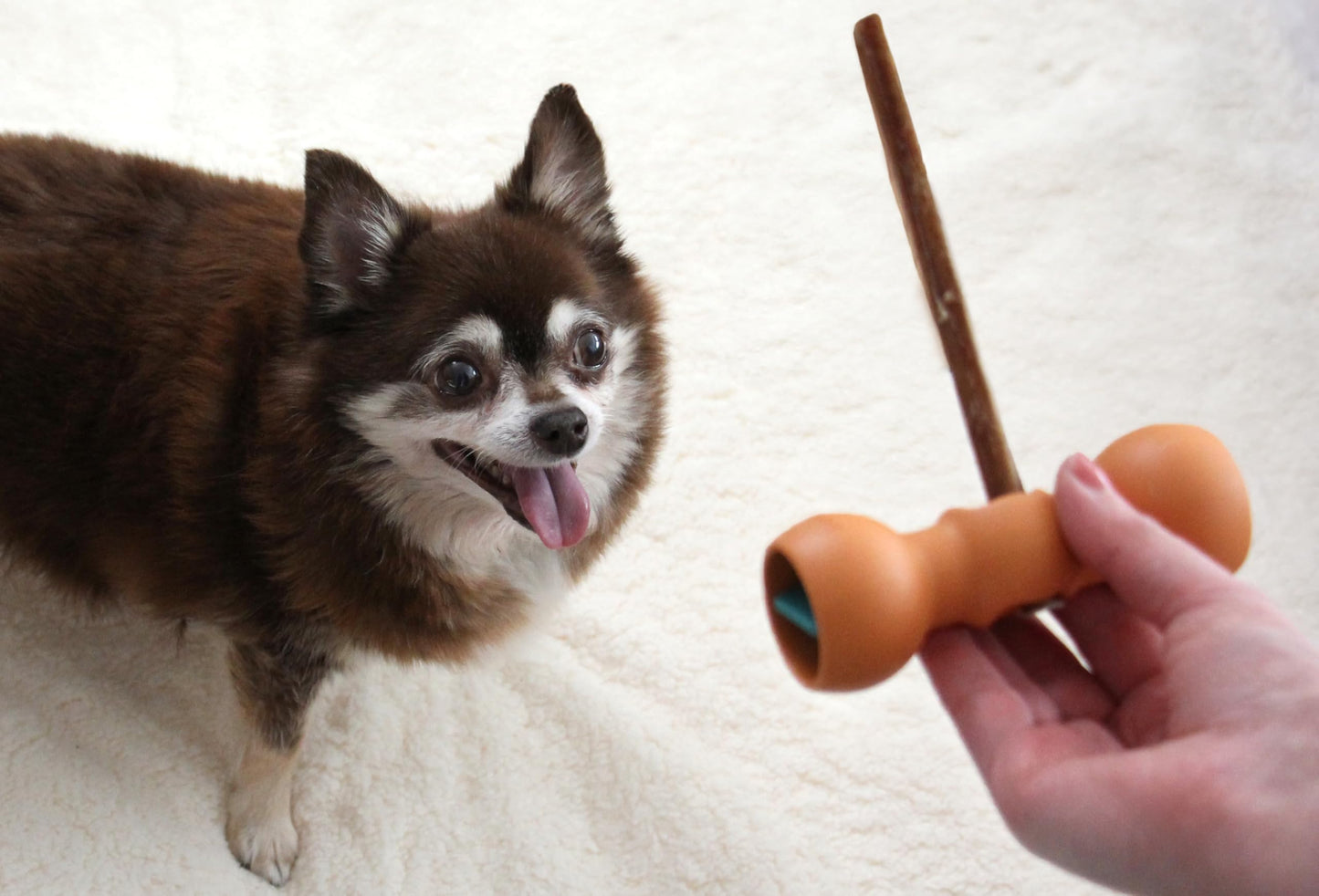 Bow Wow Labs Buddy Safety Device | Bully Stick & Chew Holder for Dogs | BPA-Free | Helps Prevent Choking | Dishwasher Safe (XS)