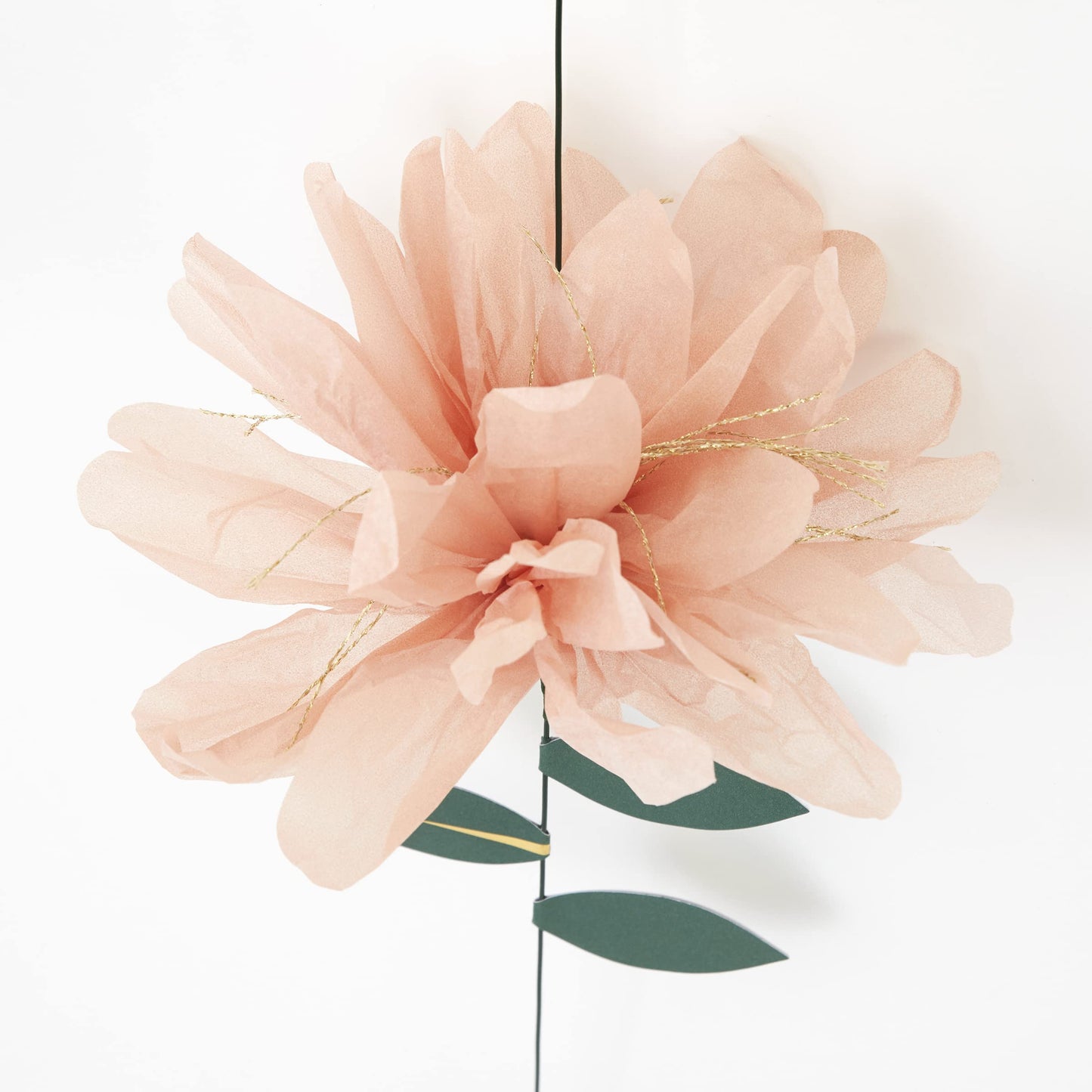 Meri Meri Spring Flower Wall Background