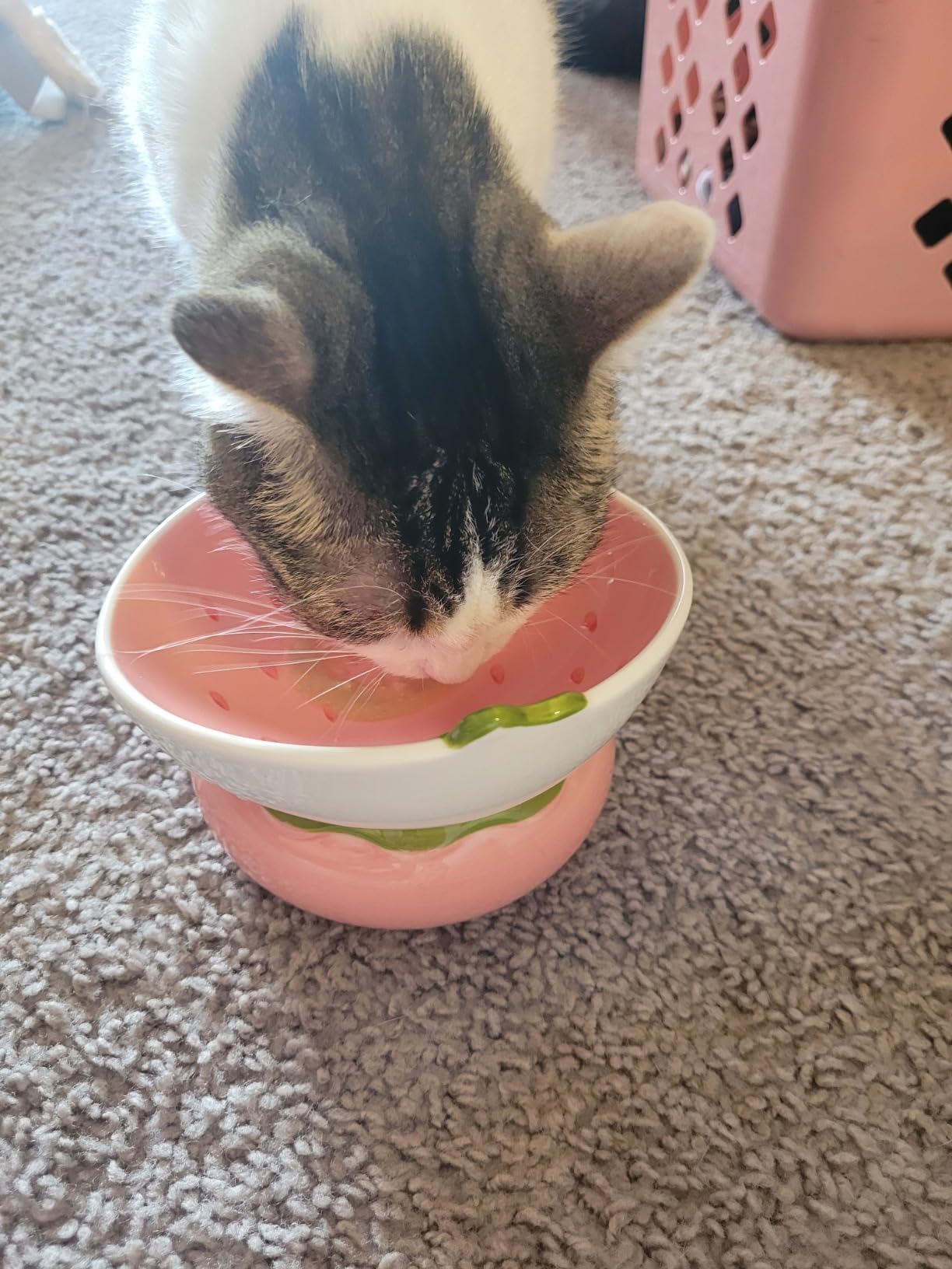 2PCS Tilted Elevated Cat Food Bowl Raised Ceramic Cat Bowl Anti Vomiting Shallow Cat Feeding Bowls Wide Cat Bowls Whisker Friendly High Cat Dish Microwave and Dishwasher Safe (Strawberry + Orange)