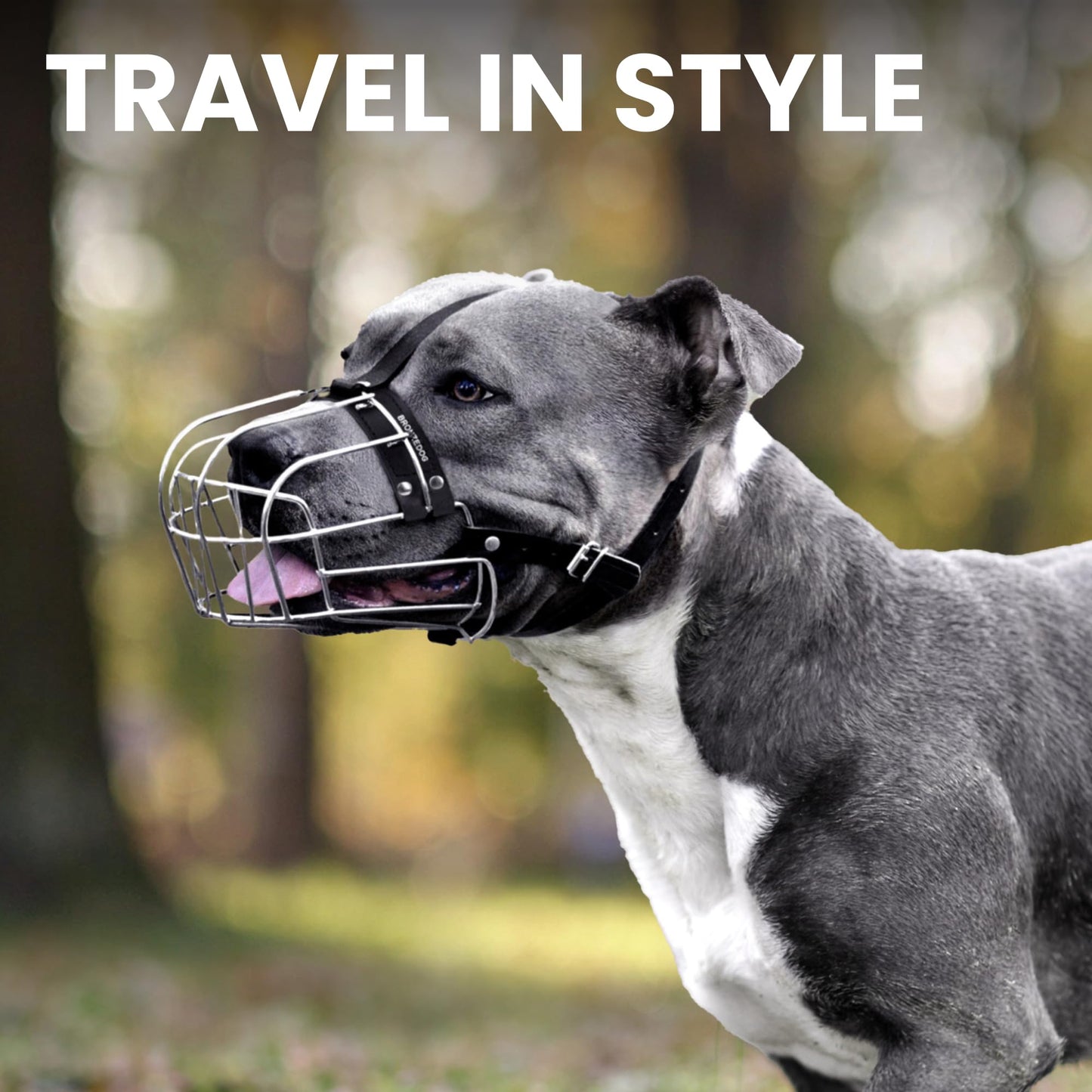 BRONZEDOG Pitbull Dog Muzzle Metal Mask Amstaff Wire Basket Pit Bull Adjustable Leather Straps for Large Dogs (Black)