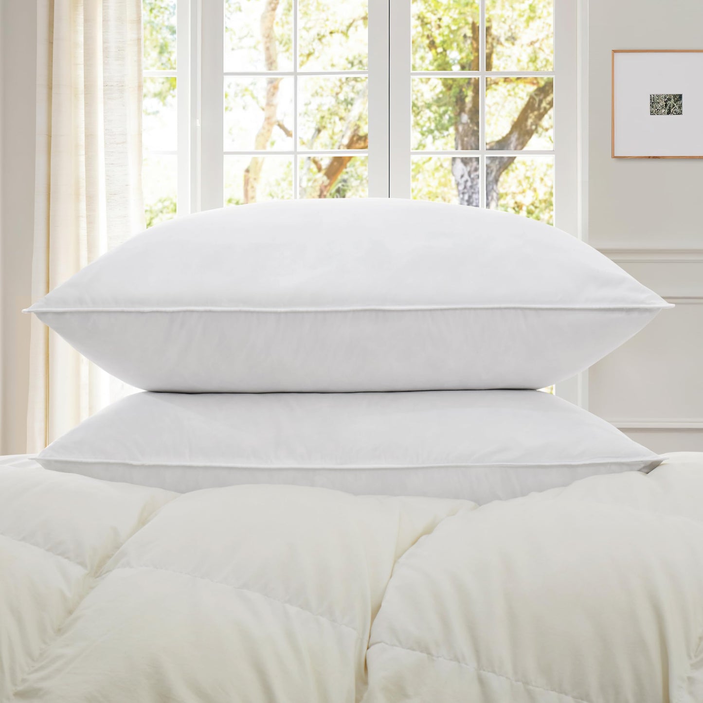 SNUG&COZY Grey Goose Feather Down Pillow for Sleeping(2 Pack)- Queen Size(20IN×30IN), Goose Feather&Down Filling, 100% Cotton Cover, 100% Down Proof, Machine Wash, White