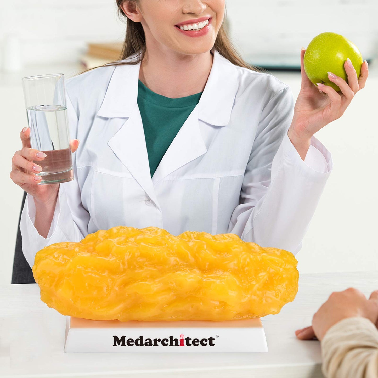 Authentic Human Body Fat Replica, Keep Fit & Weight Loss Motivation & Reminder, Human Fatty Tissue Demonstration Model for Nutritionist, Anatomical Science Course for Medical Student (5 lb)