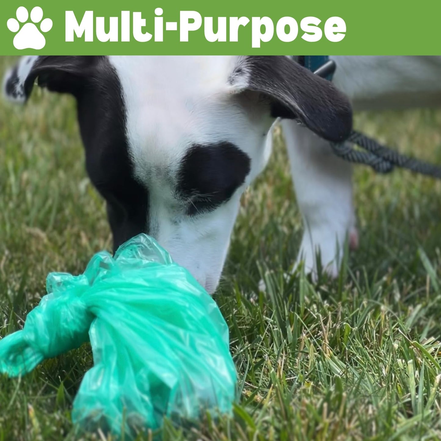 1.2 Gallon (5 Liter) Samll Biodegradable Trash Bag (440 Count) Green Eco-friendly Small Garbage Bags Made W/EPI 1 Gallon Can Liners for Home Kitchen Office (440 Bags)