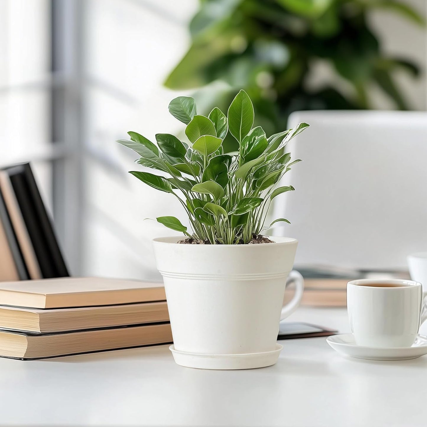 T4U 6 Inch Flower Pots 10-Pack - Small Plastic Planter with Drainage Hole and Saucer, Decorative Nursery Plant Pot Bulk for African Violet, Snake Plant, Aloe and All House Plants Indoor (White)