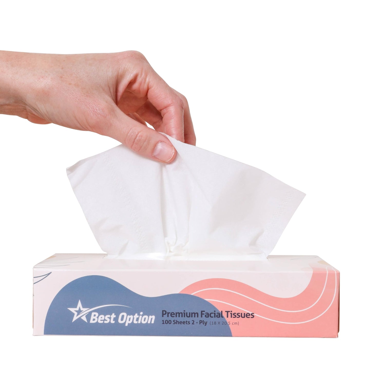 Soft 2-Ply Facial Tissue, White, 100-Count Box | Professional, Gentle and Durable | Great for Bathroom, Office, Business, School (1,200 Tissues, Bulk Pack of 12-Boxes)