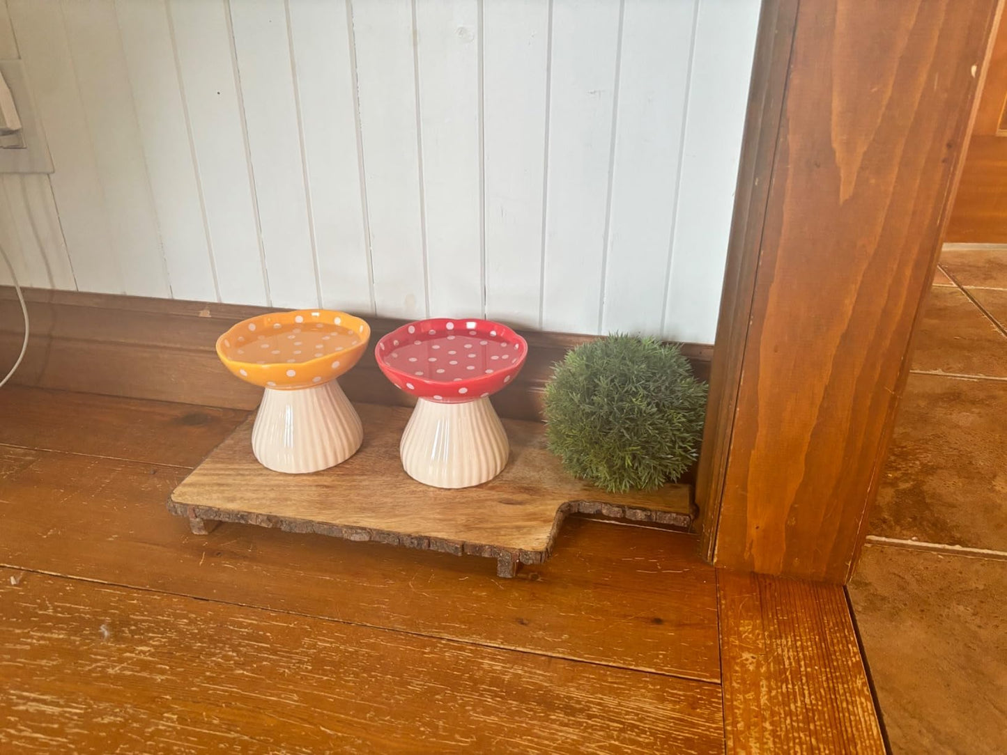 2 Pack Raised Cat Bowl 6 Inch Wide Ceramic Elevated Cat Food Bowl for Food and Water, Whisker Friendly Tilted Cat Dish for Flat Faced Kitten, Cat Feeding Bowl, Shallow Cat Dish (Red&Yellow)