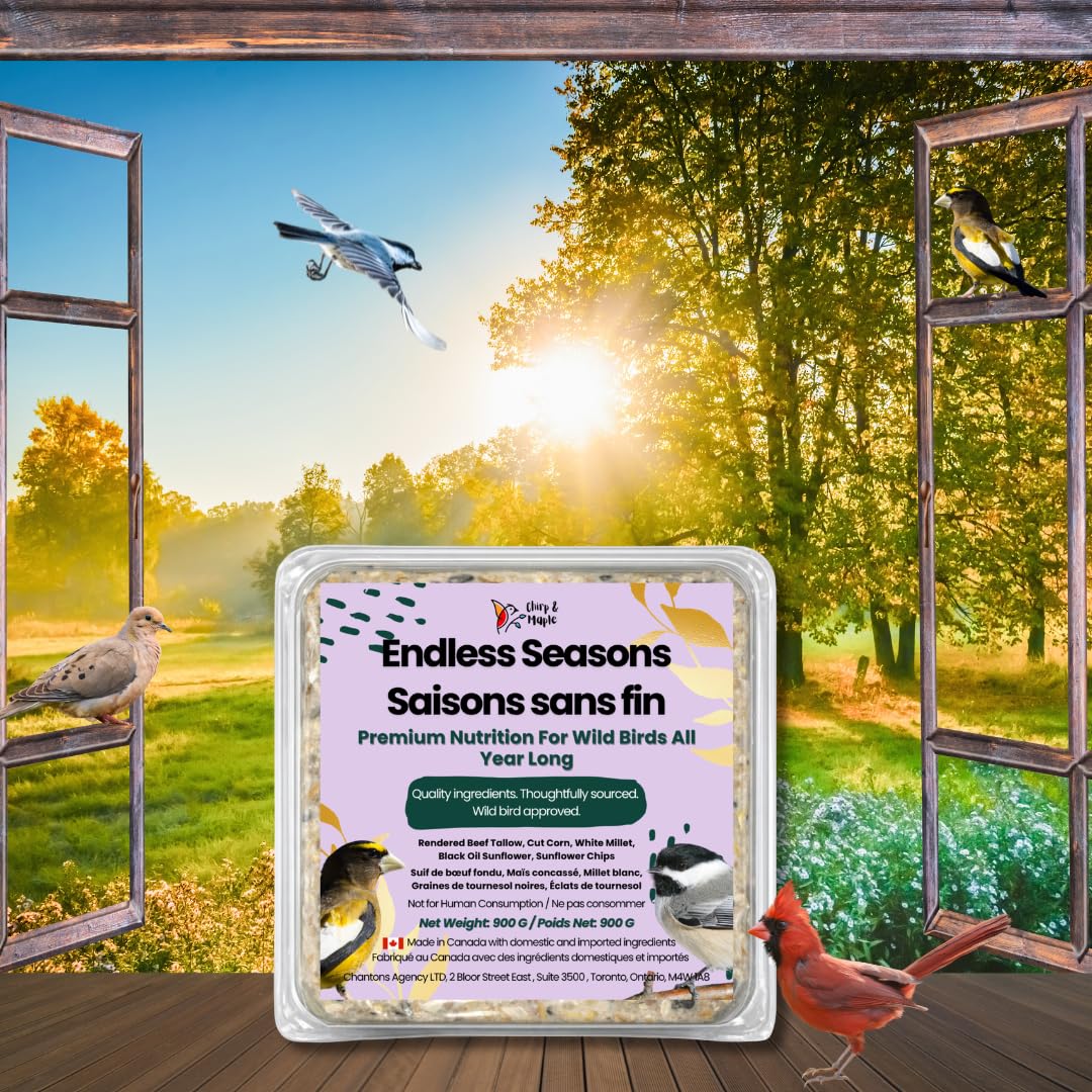 Chirp & Maple, Endless Seasons, Suet for Wild Birds, Wild Bird Food (9-Pack) 2.7KG