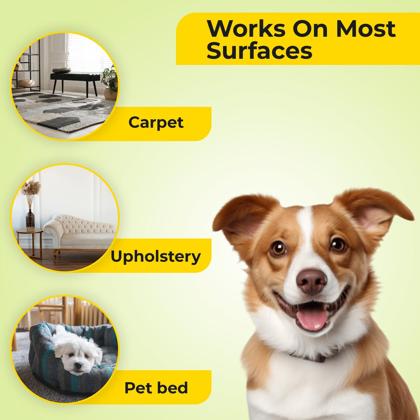 Aromasong Carpet Deodorizer - 100% Natural Carpet Freshener Powder - Safe For Pets - Carpet Powder For Vacuuming - Upholstery Deodorizer - Effective Pet Odor Eliminator For Strong Odor & Pet Urine